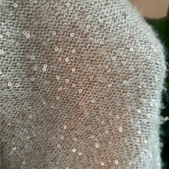 The Limited Tan and Gold sequins  Crew Neck Sweater - Picture 6 of 7